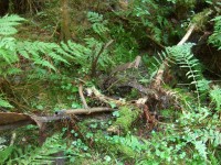 DSCF7361.JPG