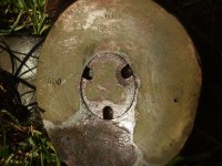DSCF7384.JPG