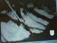 DSCF7381.JPG