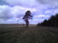 Photo-0033.jpg (65.19 КБ) 4453 просмотра Photo-0033.jpg