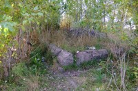 060.JPG