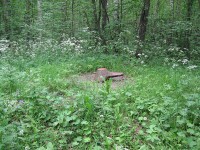 IMG_0620.jpg
