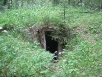 IMG_0619.jpg