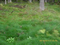 SDC10772.jpg