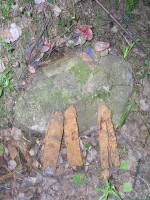 pered_003.jpg (110.6 КБ) 4335 просмотров pered_003.jpg