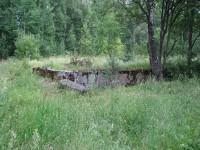Image 082.jpg