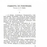 Пешком на революцию.jpg