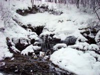 DSC01487.jpg