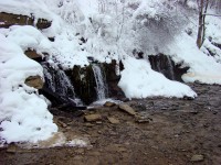 DSC01475.jpg