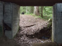 DSCF3345.jpg (437.66 КБ) 9324 просмотра DSCF3345.jpg