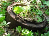 P6130145.JPG (187.73 КБ) 16377 просмотров P6130145.JPG