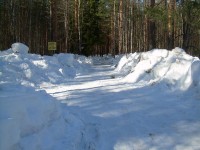 2011 045-web.jpg