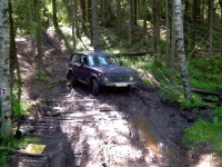 грибы 013.jpg (191.83 КБ) 11058 просмотров грибы 013.jpg