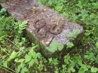 P7280003.JPG (263.23 КБ) 9777 просмотров P7280003.JPG