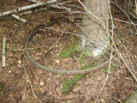 P8290247.JPG (235.3 КБ) 9737 просмотров P8290247.JPG