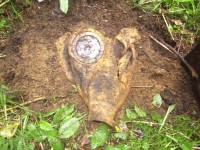 P8300001.JPG (231.54 КБ) 8483 просмотра P8300001.JPG