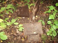 P9060006.JPG (203.28 КБ) 8536 просмотров P9060006.JPG