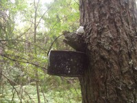 P8300004.JPG (180.15 КБ) 8491 просмотр P8300004.JPG