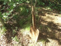 P8060024.JPG (245.44 КБ) 8506 просмотров P8060024.JPG