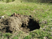 P5150163.JPG (383.3 КБ) 10883 просмотра P5150163.JPG