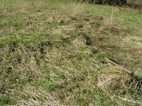 P5150168.JPG (384.91 КБ) 9860 просмотров P5150168.JPG