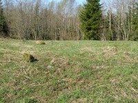 P5150167.JPG (346.01 КБ) 9867 просмотров P5150167.JPG