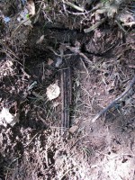 240511 029.jpg (346.36 КБ) 9353 просмотра 240511 029.jpg