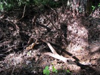 240511 028.jpg (347.98 КБ) 8701 просмотр 240511 028.jpg