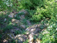 240511 043.jpg