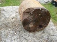 P6130078.JPG (150.95 КБ) 9174 просмотра P6130078.JPG