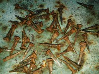 SNC00198.jpg (137.5 КБ) 10790 просмотров SNC00198.jpg