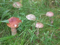 DSCF2340.JPG