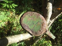 Армия 530.jpg (171.28 КБ) 9272 просмотра Армия 530.jpg