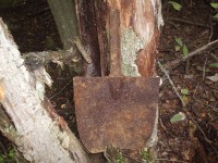 Армия 529.jpg (195.53 КБ) 9549 просмотров Армия 529.jpg