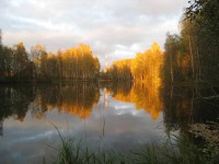 oz2.jpg (57.81 КБ) 13435 просмотров oz2.jpg