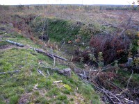 051011 005.jpg (319.15 КБ) 9560 просмотров 051011 005.jpg