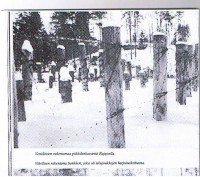 колючая проволока на границе.jpg