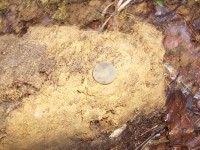 Армия 750.jpg (202.43 КБ) 11253 просмотра Армия 750.jpg