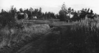 img001_1.jpg