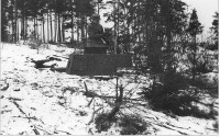 img010.jpg