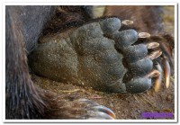 Foto_obrabotka_105.jpg (124.23 КБ) 15005 просмотров Foto_obrabotka_105.jpg