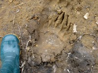 498010831.jpg (171.72 КБ) 15878 просмотров 498010831.jpg