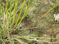 P6230070.JPG (488.93 КБ) 16592 просмотра P6230070.JPG