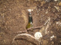 Армия 888.jpg (232.39 КБ) 12264 просмотра Армия 888.jpg